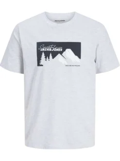 T-shirt en coton gris clair imprimé avec une coupe droite et un col rond