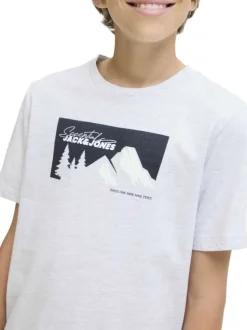 T-shirt en coton gris clair imprimé avec une coupe droite et un col rond