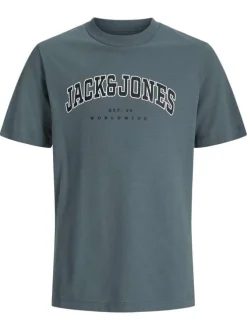 T-shirt en coton gris uni avec une coupe droite et un col rond