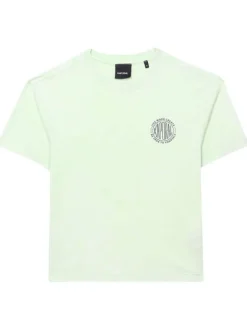 T-shirt en coton vert d'eau avec un fondu clair coupe droite et un col rond