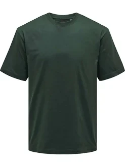 T-shirt en coton vert sapin uni à coupe droite avec un col rond