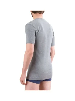 T-shirt gris uni en coton premium avec manches courtes et col rond