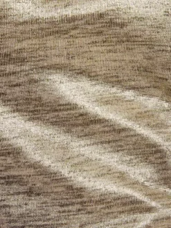 T-shirt manches courtes doré uni à coupe droite avec un col v