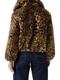 Veste en coton avec un imprimé léopard all-over et un col à revers